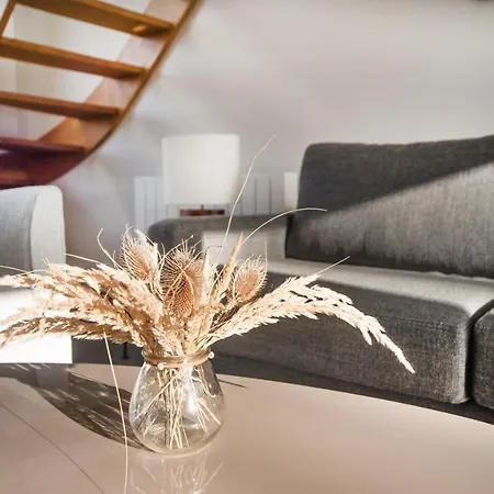 Salicorne Renovee A L'oree De La Zone Naturelle Groffliers